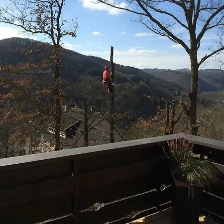 Fewo Am Ebertswald *